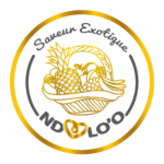 logo NDOLO