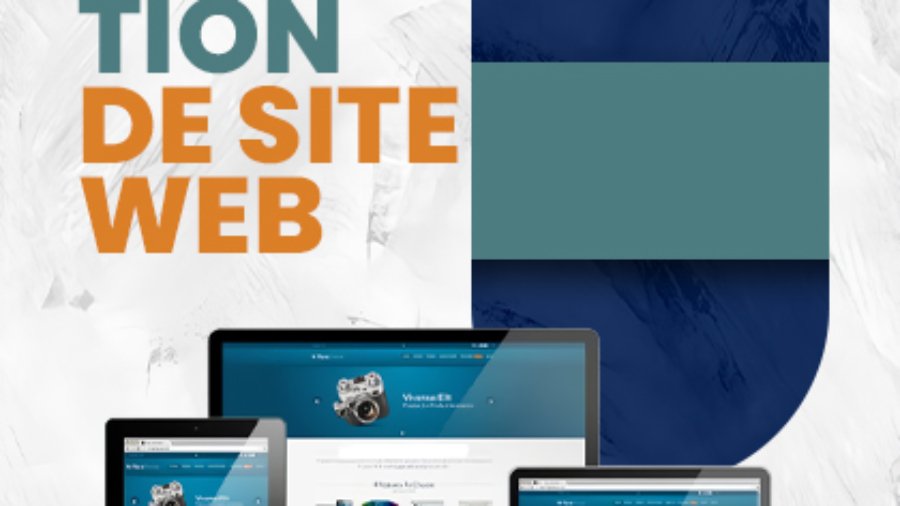 420 pixels par 500 pour le site web